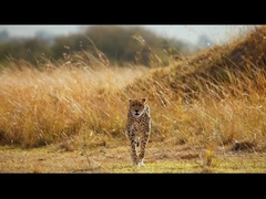 Óculos de visão noturna - Binóculos de visão noturna 5K para adultos, binóculo infravermelho recarregável de 5000mAh