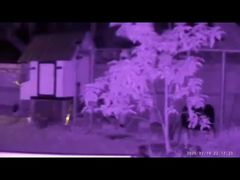 Binóculos de visão noturna com telêmetro NVG08F