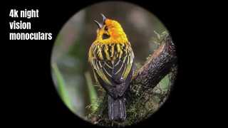 Monóculo de visão noturna 4K de alta qualidade