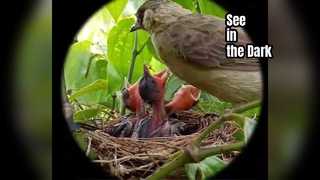 Observação de óculos de visão noturna Hondigi